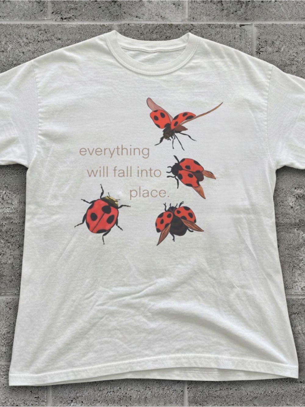 Gildan White Tee with Red Ladybug Graphic